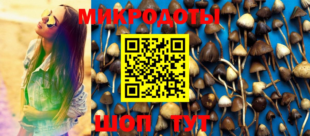 Галлюциногенные грибы мицелий Сарапул