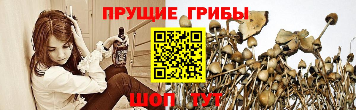 Псилоцибиновые грибы MAGIC MUSHROOMS  Галлюциногенные грибы мухоморы  Вход с VPN  Сарапул 